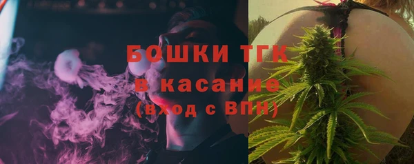 соль ск Козельск
