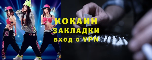 соль ск Козельск
