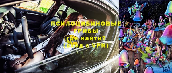 соль ск Козельск
