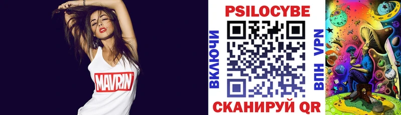 Купить закладки  Венёв  Галлюциногенные грибы мицелий 